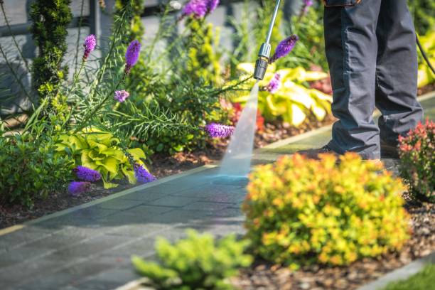 Best House Exterior Washing  in Richville, OH